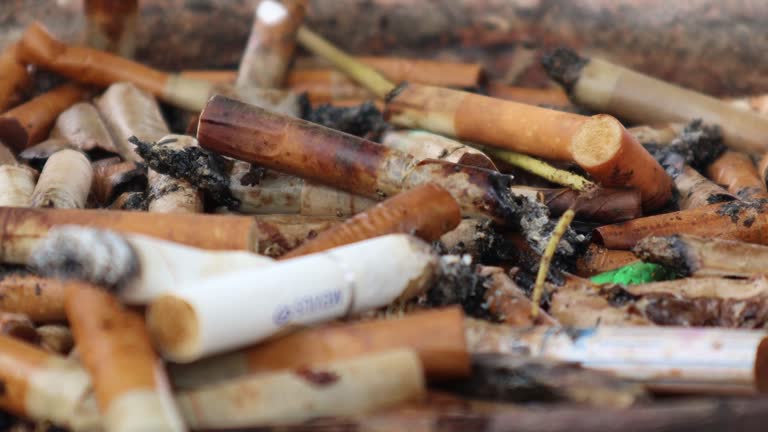 drum tobacco coles Coles Tobacco drum tobacco coles Coles Tobacco