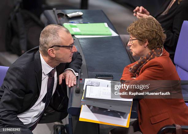 German Greens party politicians Volker Beck and Britta Hasselmann during a debate on the Annual Economic Report 2013 of the Federal Government at...