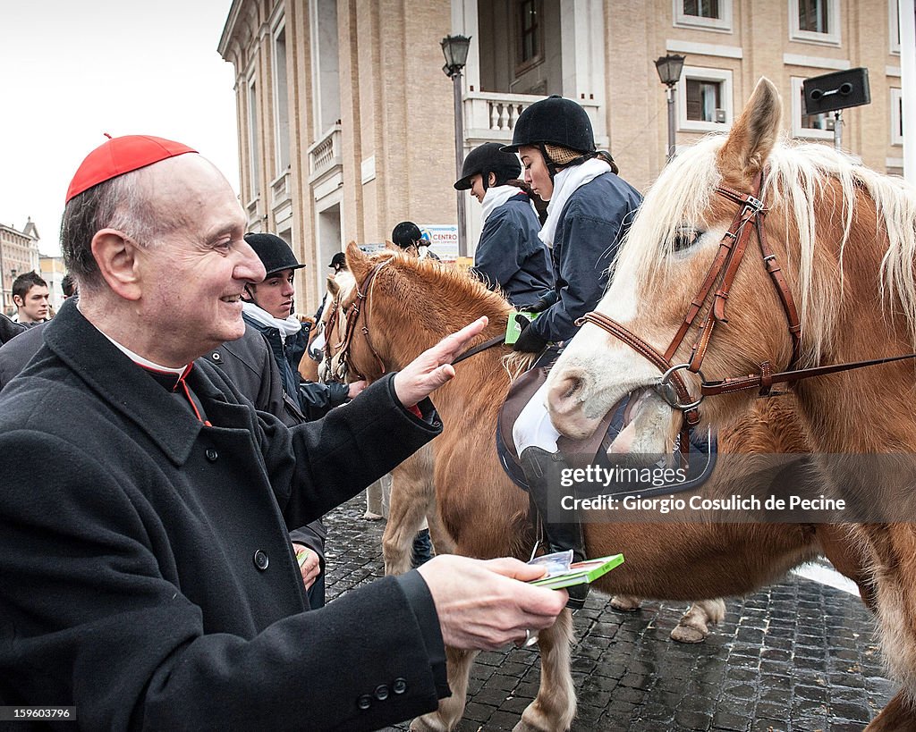 Vatican Annual Blessing of Animals