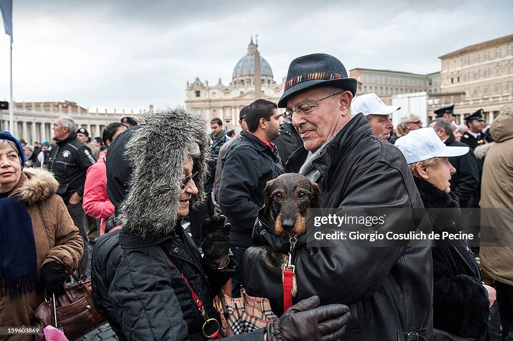 Vatican Annual Blessing of Animals