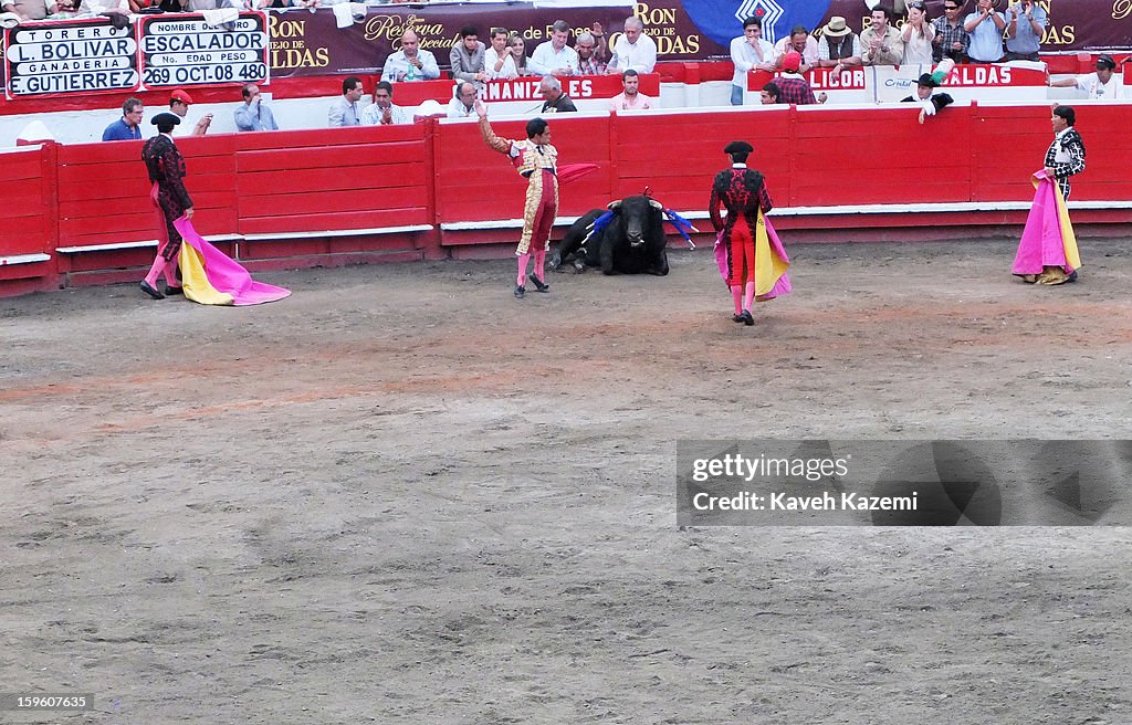 Bull Fighting at the Manizales Fair,Colombia 