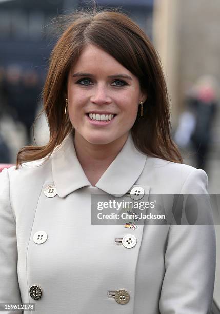 Princess Eugenie poses next to a Mini in front of Brandenburg Gate as she promotes the GREAT initiative on January 17, 2013 in Berlin, Germany. The...