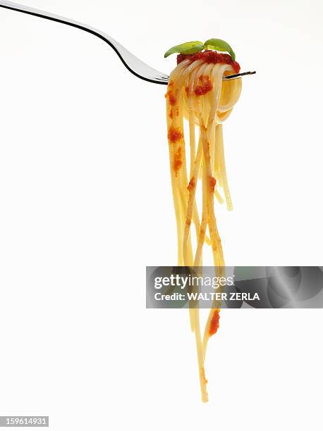 pasta coiled on fork - espaguete fotografías e imágenes de stock