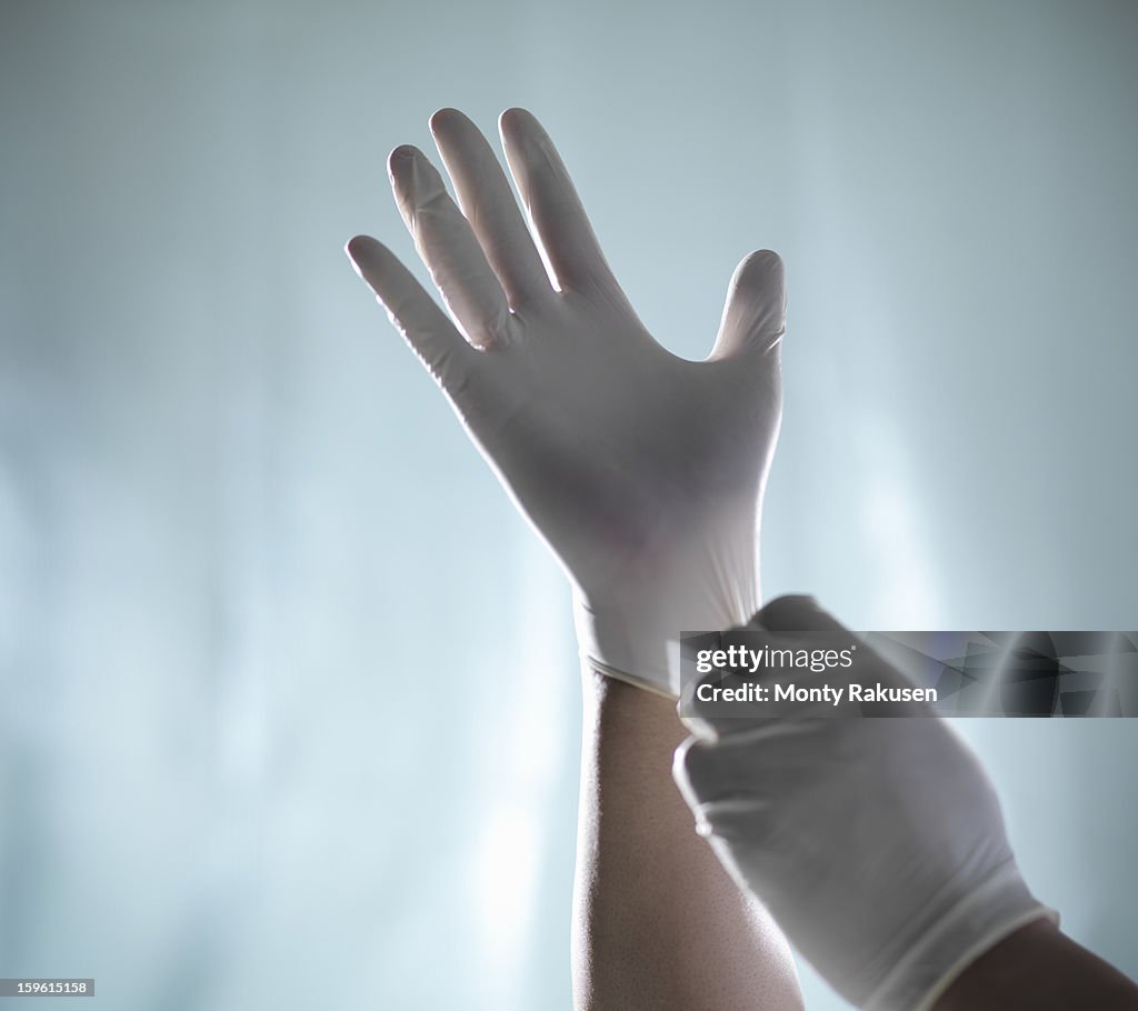 Science worker putting on latex protective gloves