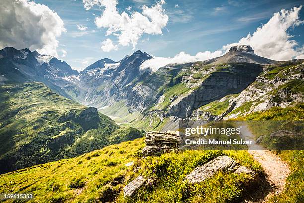 dirt path on grassy rural hillside - graubunden canton ストックフォトと画像