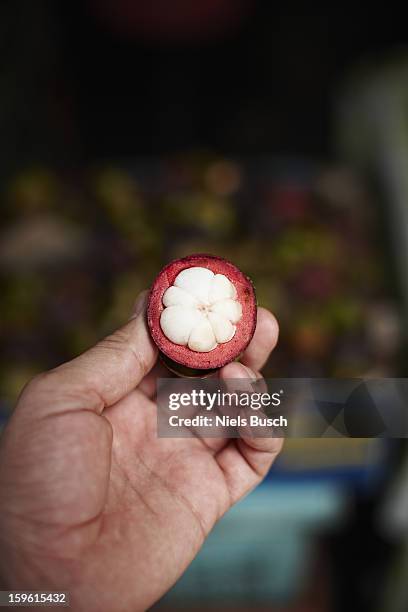 hand holding piece of mangosteen fruit - mangosteen stockfoto's en -beelden