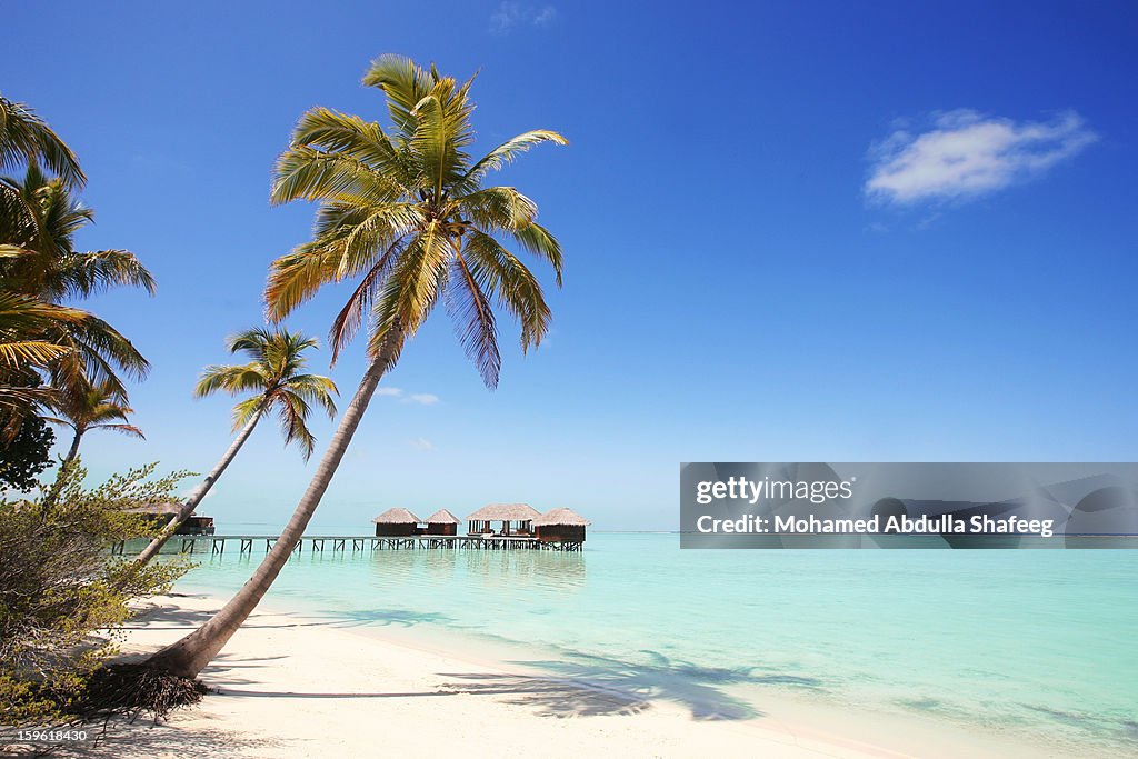 Tropical beach