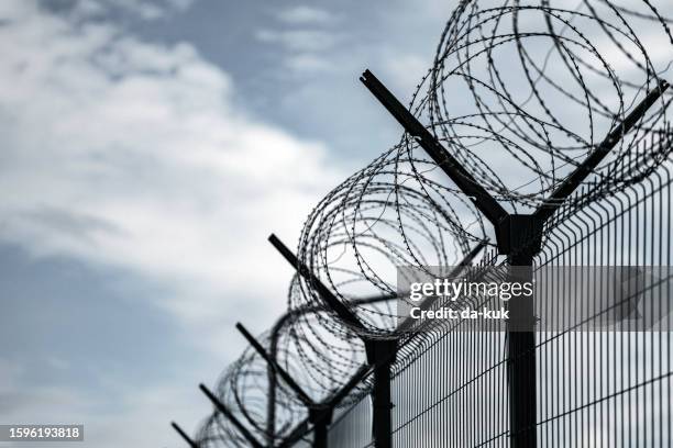 barbed wire fence. jail or border fence with razor wire against dark sky. security concept - fängelse bildbanksfoton och bilder