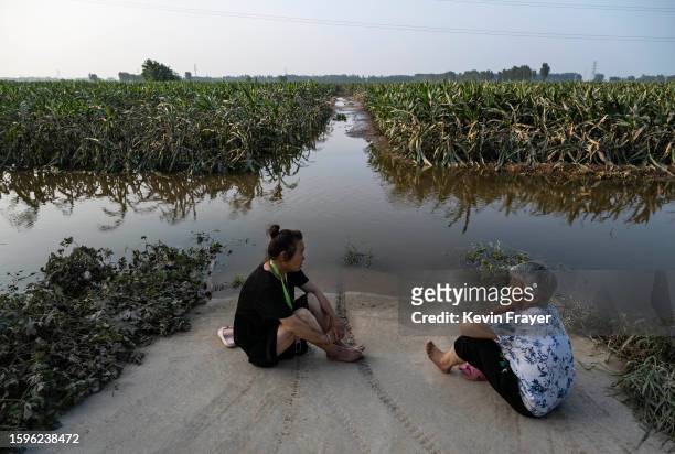 Two women sit next to a field of corn destroyed by floodwaters at a farm on August 5, 2023 in Zhuozhou, Hebei Province south of Beijing, China. The...