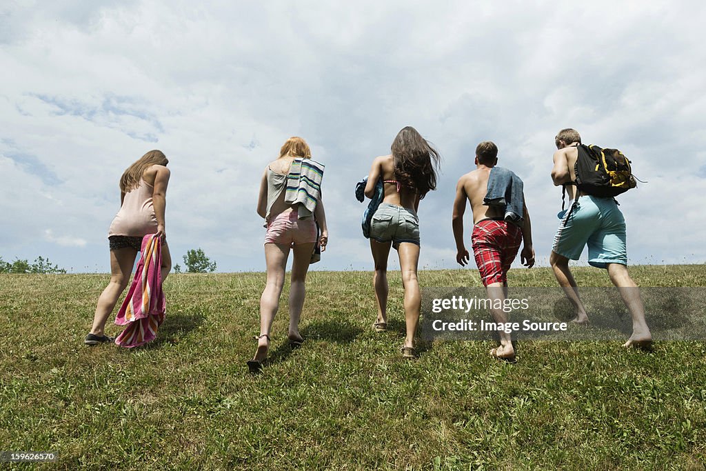 Five friends walking in field, rear view