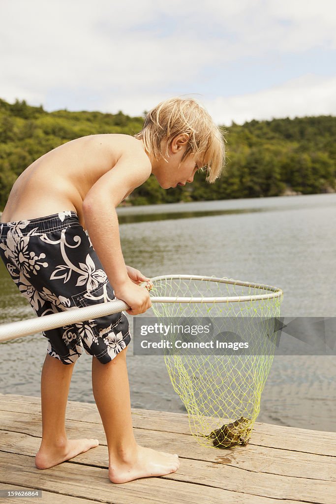 Boy looking at frog caught in net