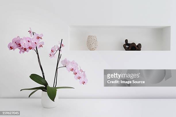 pink orchid plant and ornaments in room - orchid fotografías e imágenes de stock