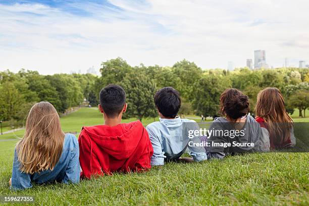 teenagers hanging out in a park - ティーンエイジャーのみ ストックフォトと画像