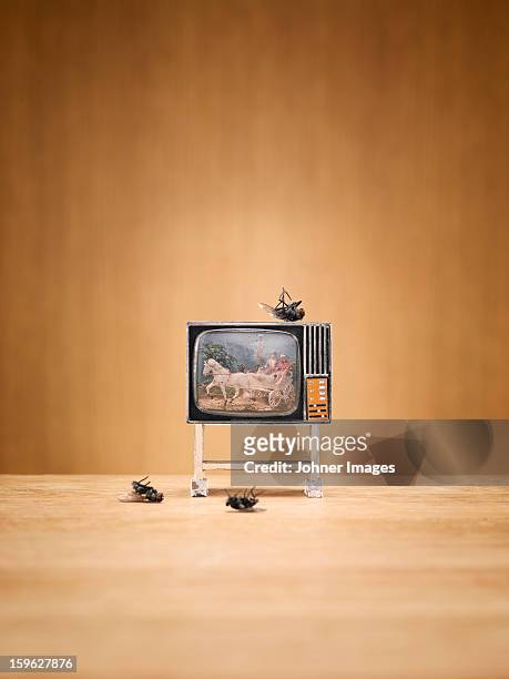miniature television and dead flies - dollhouse stockfoto's en -beelden