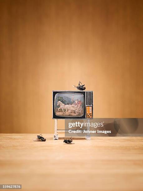 miniature television and dead flies - doll house imagens e fotografias de stock