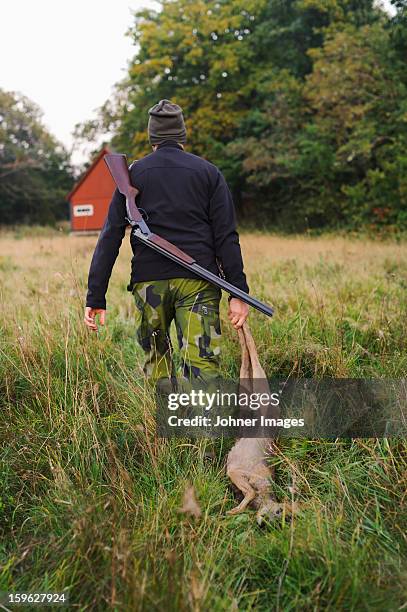 hunter dragging deer through field - dead deer fotografías e imágenes de stock