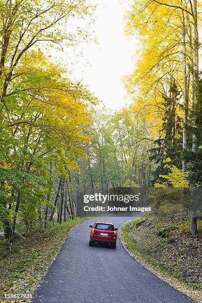 car on road covered in autumn forest - car country road photos et images de collection