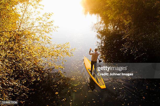 man rowing paddle board in water, elevated view - paddle board men imagens e fotografias de stock