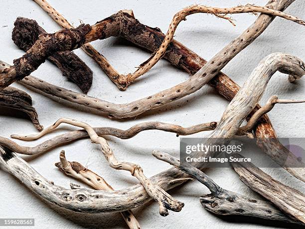 pieces of driftwood - drijfhout stockfoto's en -beelden