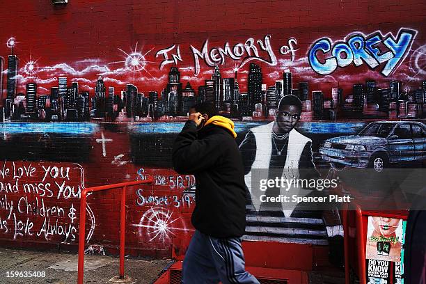 Graffiti memorial adorns a wall in memory of a man who was shot and killed in the Bedford-Stuyvesant neighborhood on January 17, 2013 in the Brooklyn...