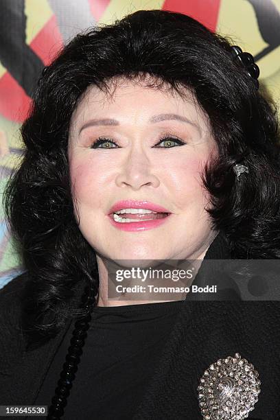 Barbara Van Orden attends the Red Line Tours presents the "Directors Series" 2nd annual commemorative ticket VIP private press event held at American...