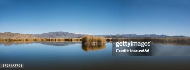 lake reflection - lake placid stock pictures, royalty-free photos & images