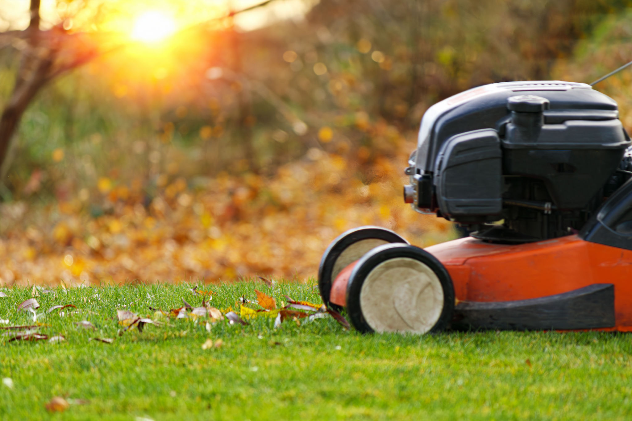 fall lawn care
