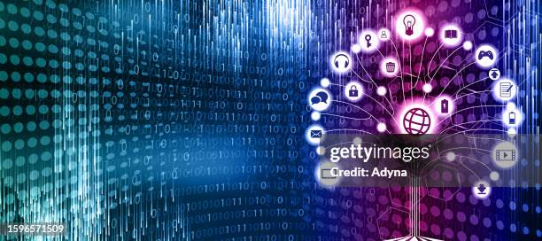 Tree Code Walpaper 618 Tree Of Codes Stock Photos, High-Res Pictures, and Images - Getty ...