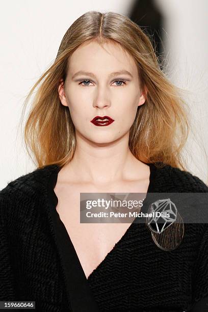 Model walks down the Runway at Irina Schrotter Autumn/Winter 2013/14 fashion show during Mercedes-Benz Fashion Week Berlin at Brandenburg Gate on...