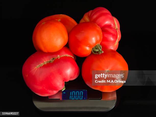 a kilo of tomatoes - kilogram stock pictures, royalty-free photos & images