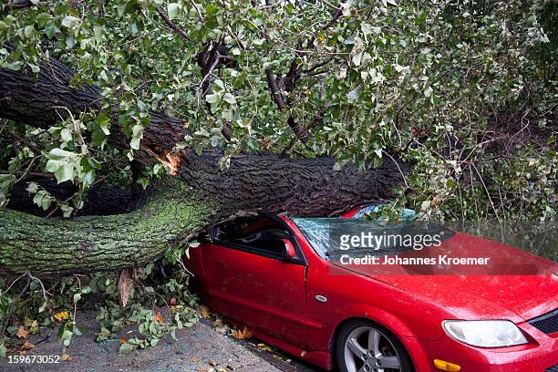 car crushed by a tree - damaged stock-fotos und bilder