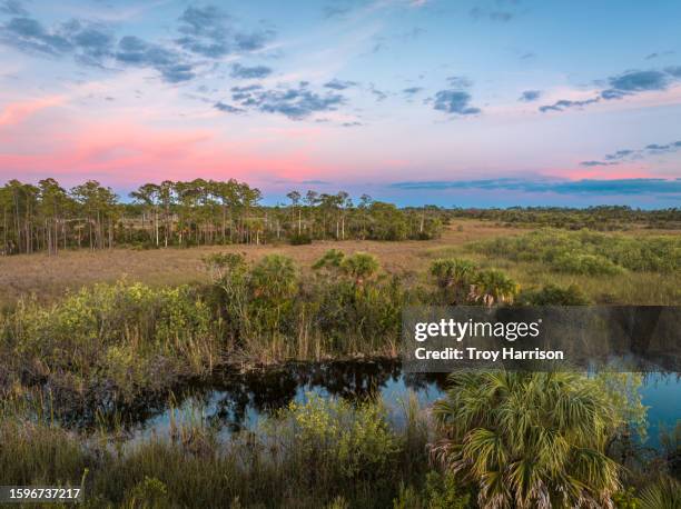 sunset over the everglades - everglades national park stock pictures, royalty-free photos & images