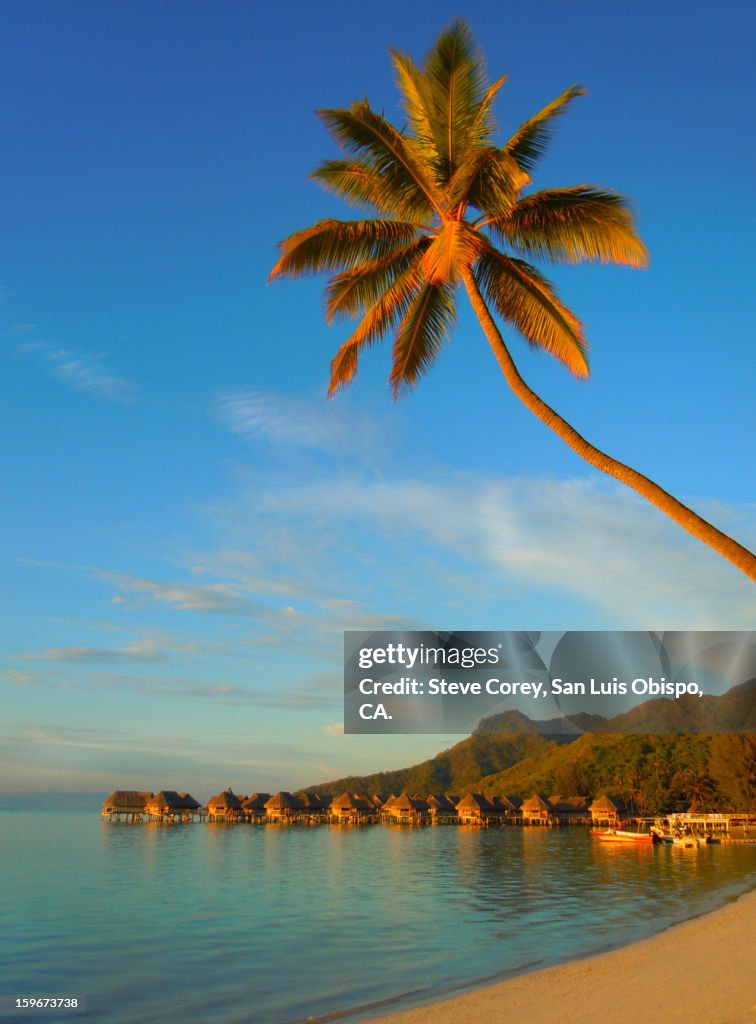 Sunrise on Moorea