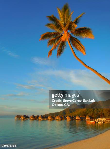sunrise on moorea - tahiti stock pictures, royalty-free photos & images