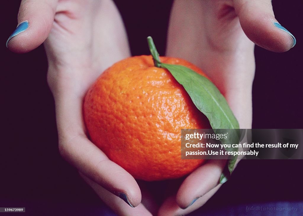 Week n.2 - N a t u r e