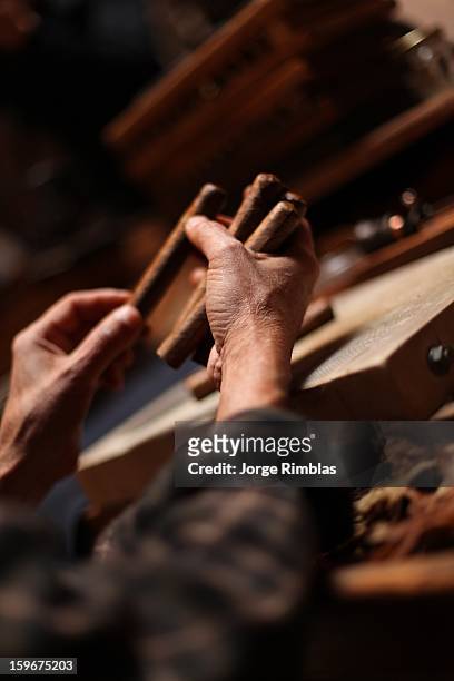 grand master cigar maker - rimblas stockfoto's en -beelden