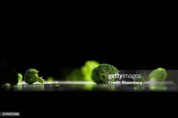 Newly-harvested broccoli spears pass through a screening machine at the Monliz-Produtos Alimentares do Mondego e Liz SA frozen food factory in...