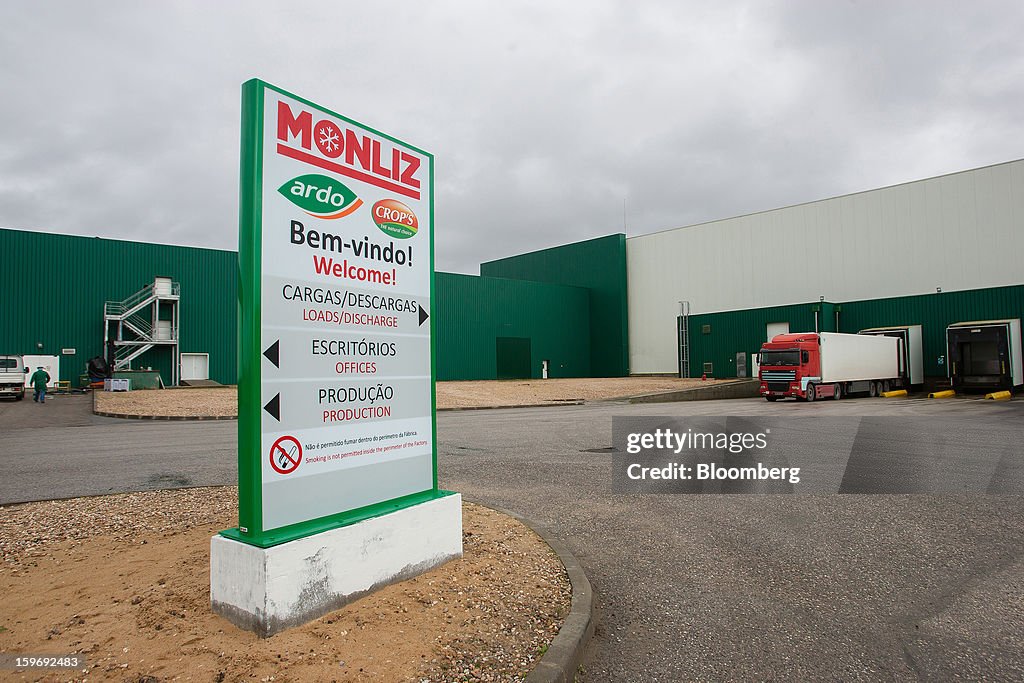Commercial Vegetable Production At Monliz-Produtos Alimentares do Mondego e Liz SA Plant