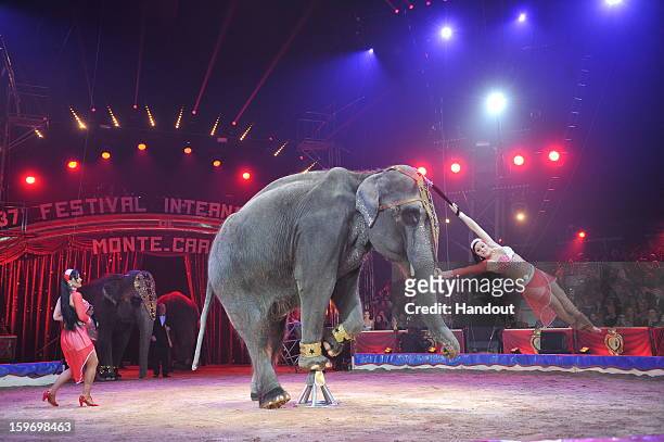 In this handout photo provided by Palais Princier, Performers act on stage during the Monte-Carlo 37th International Circus Festival on January 18,...