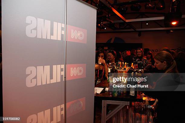 Guests attend the DFP Reception Co-Hosted by CNN Films at Sundance House during the 2013 Sundance Film Festival on January 18, 2013 in Park City,...