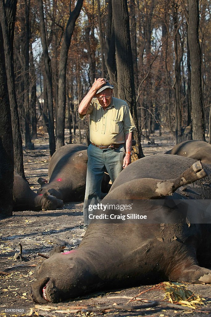 Bushfires Burn Across Victoria