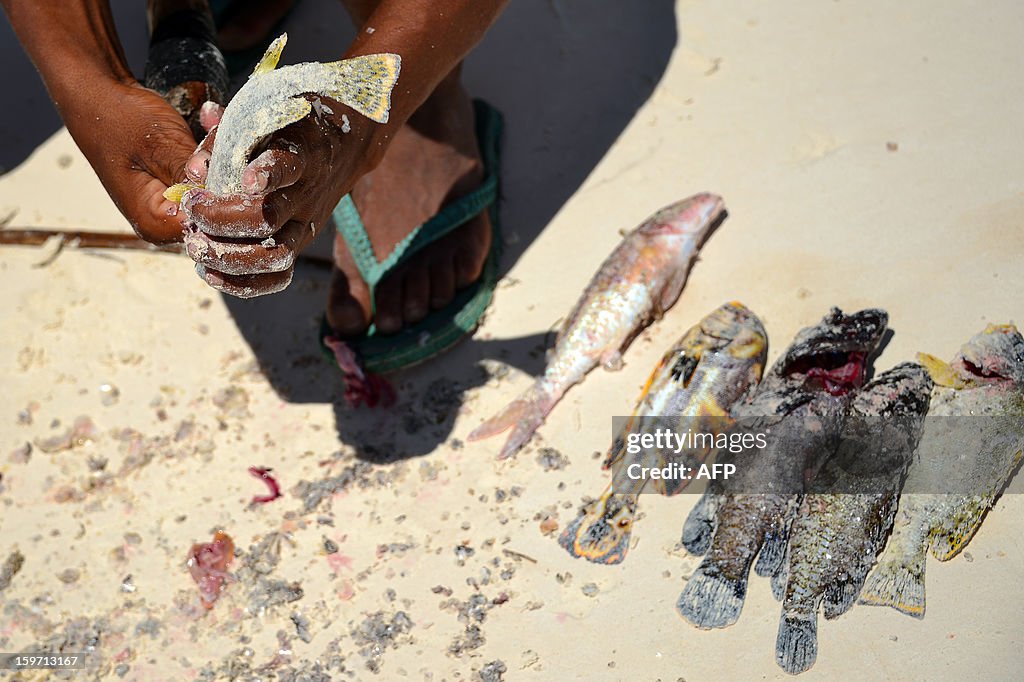 TANZANIA-ZANZIBAR-FISHING