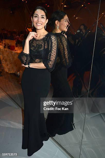 Caterina Murino attends 'Les Lumieres 2013' Cinema Awards 18th Ceremony at La Gaite Lyrique on January 18, 2013 in Paris, France.