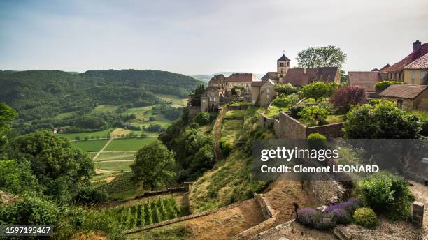 landscape of the medevial old town of château-châlon (chateau chalon) with the remains of the ancient castle walls, the church, stone houses and vines in the foreground. jura, franche comte (franche-comté), eastern france. - local landmark stockfoto's en -beelden