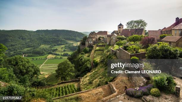landscape of the medevial old town of château-châlon (chateau chalon) with the remains of the ancient castle walls, the church, stone houses and vines in the foreground. jura, franche comte (franche-comté), eastern france. - jura bildbanksfoton och bilder