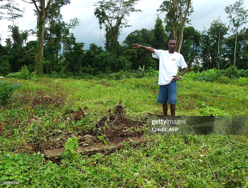 LIBERIA-ENVIRONMENT-DEFORESTATION