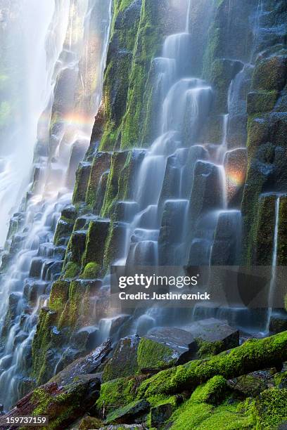 proxy falls with rainbow - willamette national forest stock pictures, royalty-free photos & images