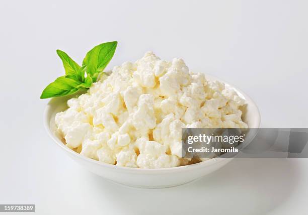 hüttenkäse in der schüssel - hüttenkäse stock-fotos und bilder
