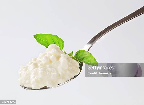 cottage cheese on a spoon - cottage cheese stock pictures, royalty-free photos & images