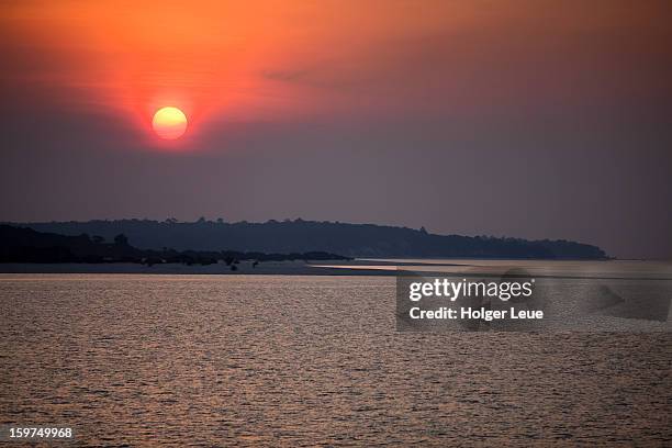 amazon river sunset - para state 個照片及圖片檔